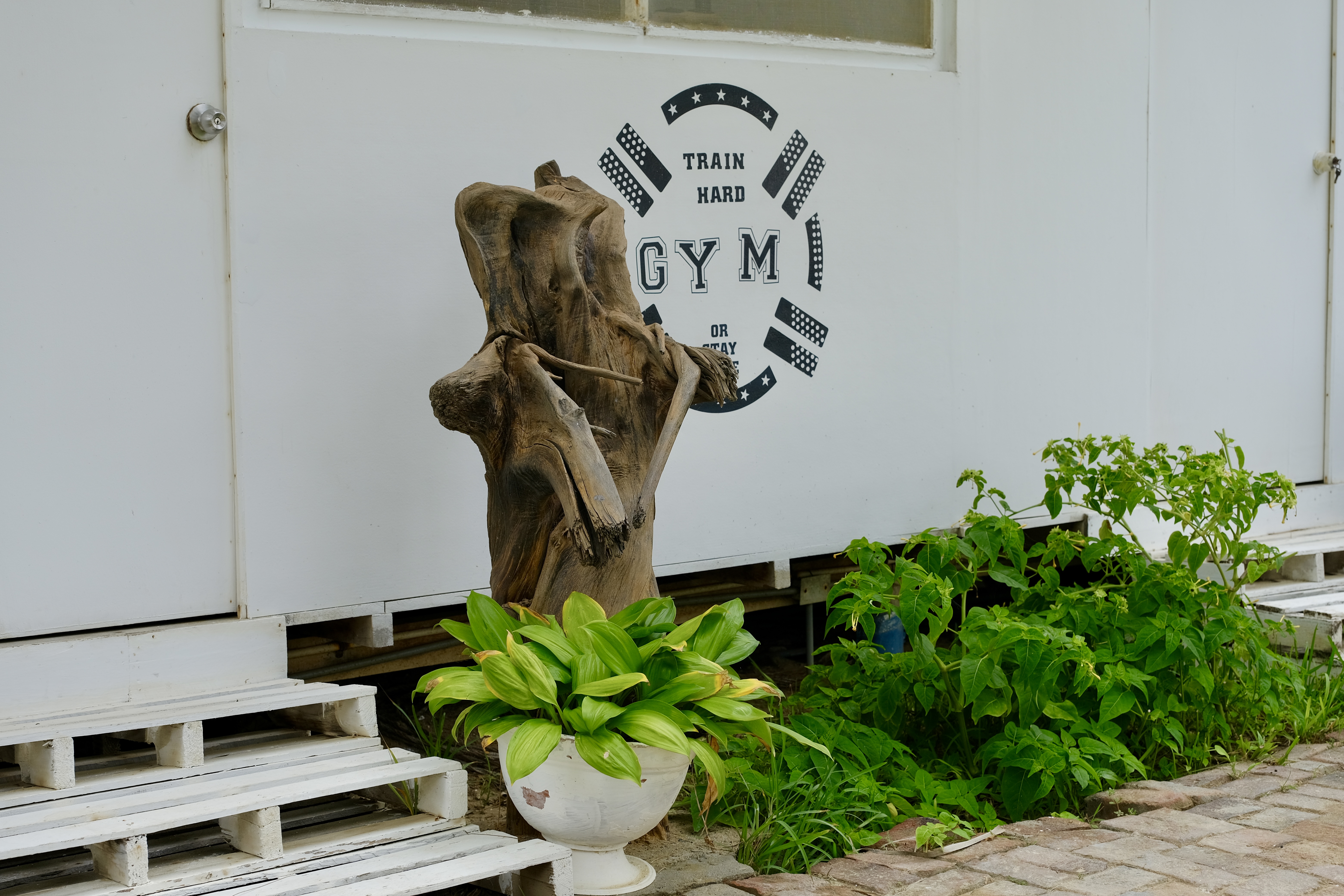 Entrada al gimnasio de Suites del Mar Máncora — Train Hard Gym